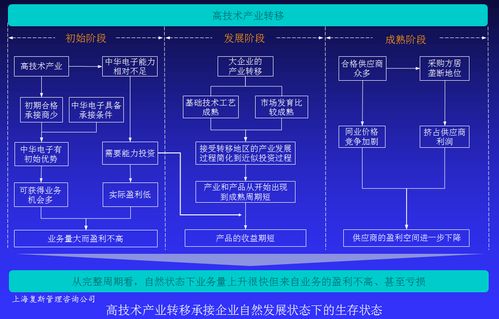 高技術(shù)產(chǎn)品企業(yè)盈利能力提升案例Ⅳ 以戰(zhàn)略咨詢?yōu)榛c(diǎn)，驅(qū)動(dòng)技術(shù)賦能與價(jià)值變現(xiàn)